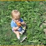 Eating a Carrot