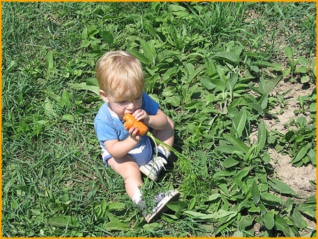 Eating a Carrot