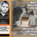 cataddictsannony-mouse