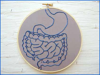 Digestive System Anatomy Embroidery