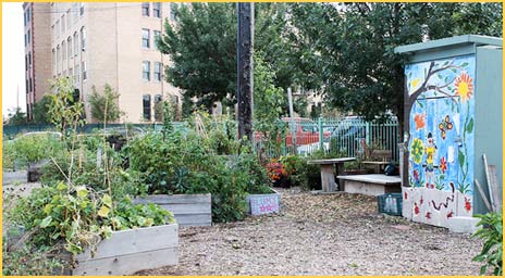 Community Garden 2