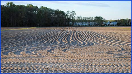 Farm Fields and Equipment