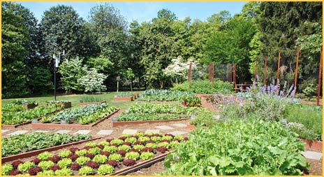 White House Kitchen Garden 2