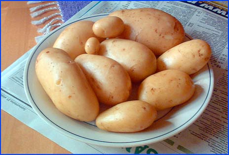 new potatoes