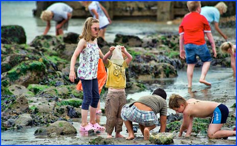 children playing in rock pools