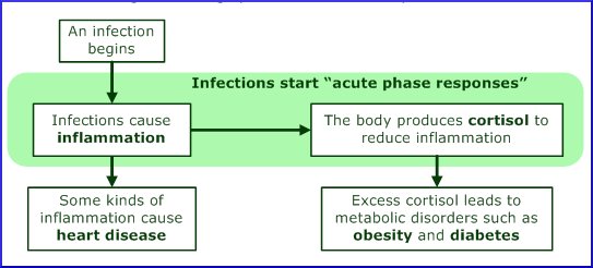 Farris diagram