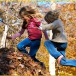 leaf pile