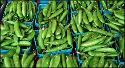 sugar snap peas