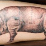 Pig 1