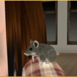 Year of the Mouse