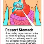 dessert stomach