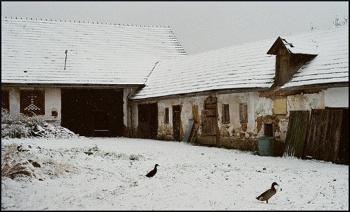 Recollection of the Last Winter-Old Czech Farm