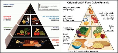 Big Grain And The Food Guide Pyramid