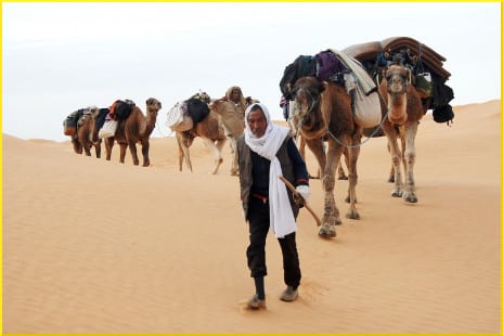 tunisia-bedouin