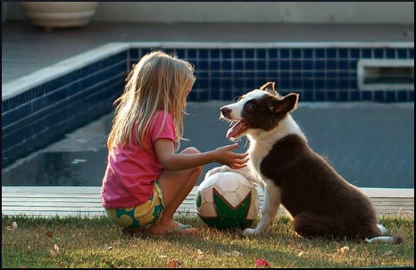 girl-dog-ball