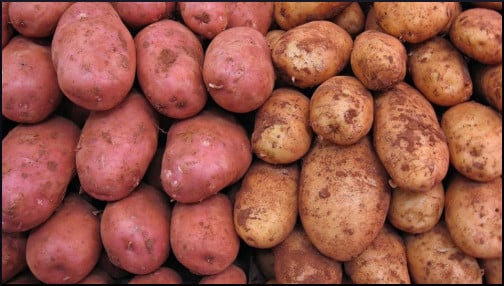 potatoes