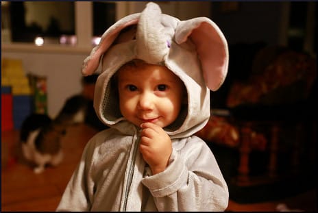 kid-in-elephant-costume