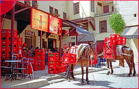 coca-cola-delivery-in-morocco