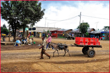 donkey-coca-cola-delivery