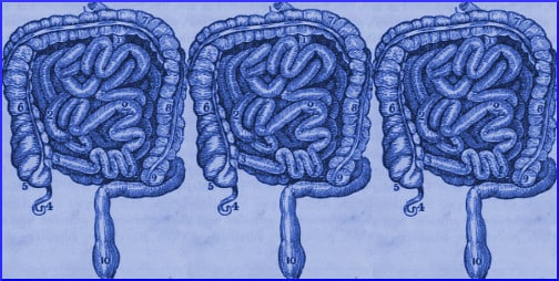 intestines-blue-illustration