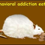 behavioral-addiction-eating