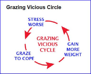 vicious-cycle-grazing