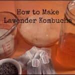 how-to-make-lavender-kombucha