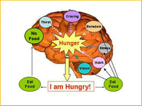 slide-26-obesity-treatment-using-addiction-model