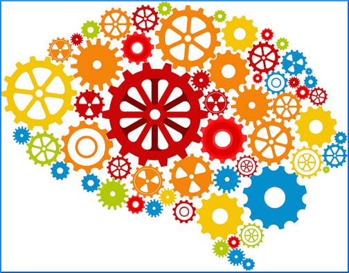 brain-and-gears-illustration