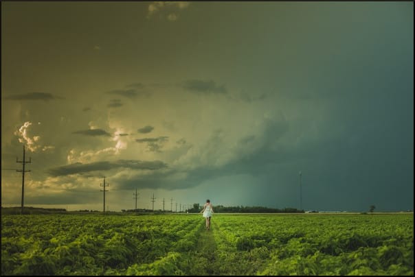 gray-skies-above-the-field