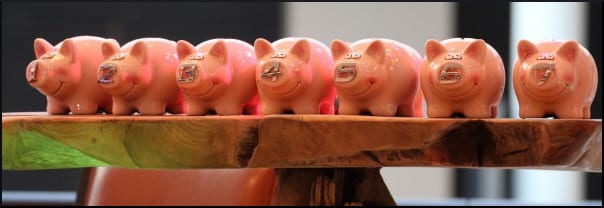 ceramic-pigs-row