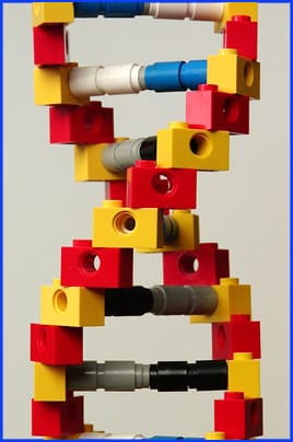 Lego DNA