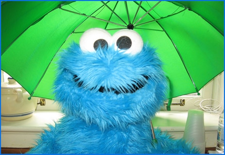 5858 Cookie Monster