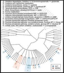 Phylogeny Figures